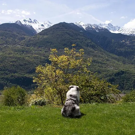 Ferienhaus Casa Maria - Quiet Luxury Nest In The Alps - Close To Bernina Express *
